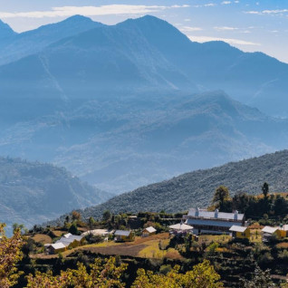 resorts in chopta